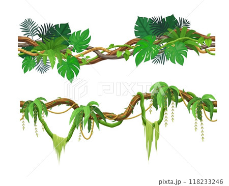 Tropical jungle forest liana branch. Cartoon vector rainforest vines and thickets. Amazon or african flora hanging creeper plants. Isolated tropic nature foliage, spinney gui elements, game landscape Tropical jungle forest liana branch. Cartoon vector rainforest vines and thickets. Amazon or african flora hanging creeper plants. Isolated tropic nature foliage, spinney gui elements, game landscape 118233246
