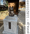 猫の狛犬？招き猫 118233349