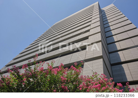 霞が関　特許庁 118233366