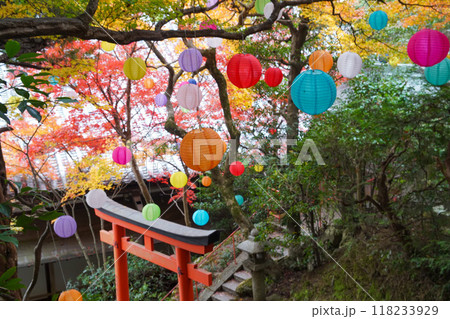 柳谷観音の紅葉 118233929