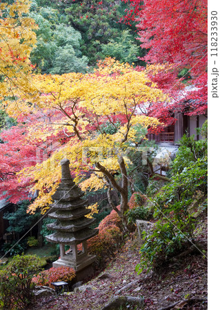 柳谷観音の紅葉 柳谷観音の紅葉 118233930