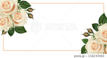 White rose flowers ina corner arrangements with frame isolated on white 118234563