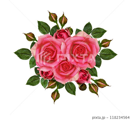 Pink rose flowers in a floral composition isolated 118234564