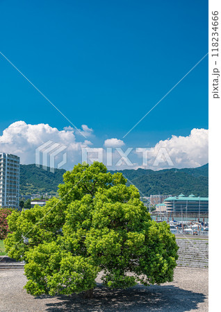 浜大津の公園風景 滋賀県大津市 浜大津の公園風景 滋賀県大津市 118234666