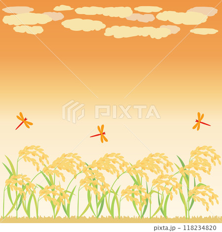 夕焼けと赤とんぼと稲穂の秋のイラスト　アスペクト比1：1バージョン 118234820