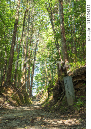 山の辺の道　石碑 118234831