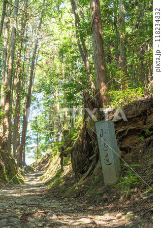 山の辺の道　石碑 118234832