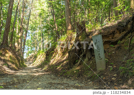 山の辺の道　石碑 118234834