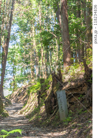 山の辺の道　石碑 118234836