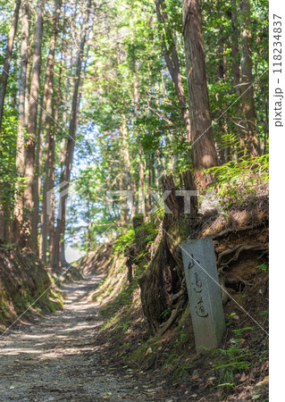 山の辺の道　石碑 118234837