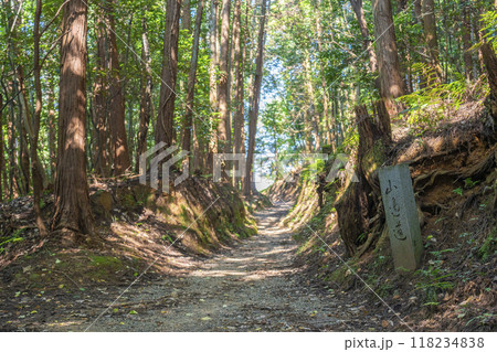 山の辺の道　石碑 118234838