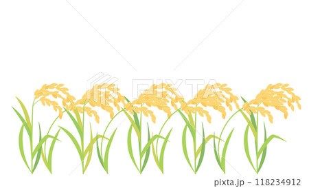 実った稲・稲穂のイラスト　アスペクト比16：9バージョン 118234912