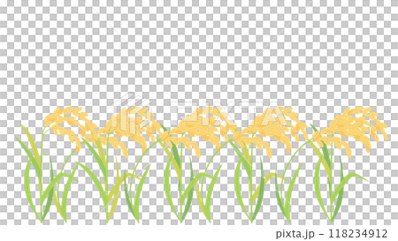 実った稲・稲穂のイラスト　アスペクト比16：9バージョン 118234912