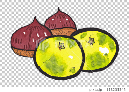 手描きの水彩画(絵手紙)「早生みかん」二個と「栗」二個 118235343