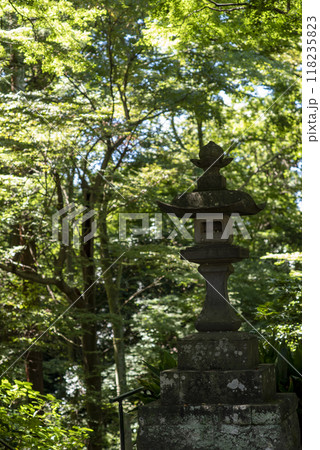 鎌倉249 妙本寺13 木漏れ日 鎌倉249 妙本寺13 木漏れ日 118235823