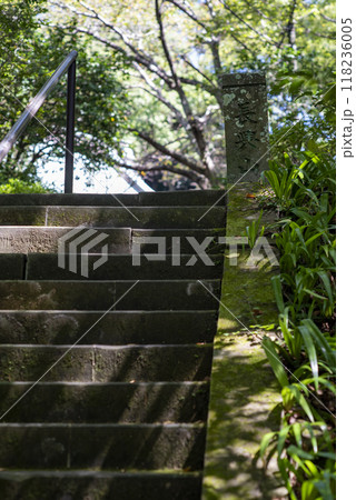 鎌倉249 妙本寺3 木漏れ日 鎌倉249 妙本寺3 木漏れ日 118236005