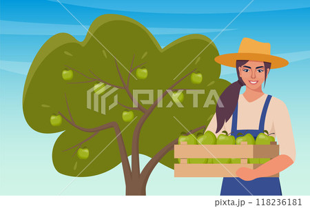 Woman farmer picks apples. Woman growing fruits, agricultural occupation, woman collects apples in wooden box. Apple harvesting scene. Vector illustration. 118236181