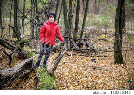 A child walking across a fallen tree going across a river in the 118236349