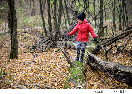 A child walking across a fallen tree going across a river in the 118236350