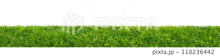 green grass field isolated on white background green grass field isolated on white background 118236442