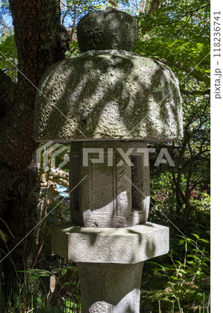 鎌倉249 安国論寺5 木漏れ日 鎌倉249 安国論寺5 木漏れ日 118236741