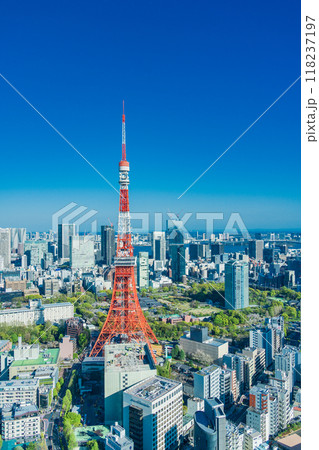 東京タワーのある東京都市風景 東京タワーのある東京都市風景 118237197