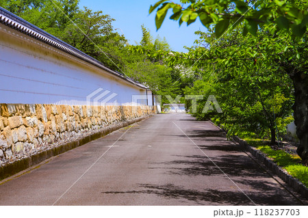 【京都風景】6月のさわやかな日の勧修寺 118237703