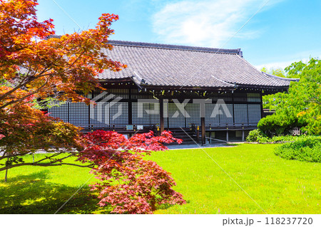 【京都風景】6月のさわやかな日の勧修寺 【京都風景】6月のさわやかな日の勧修寺 118237720