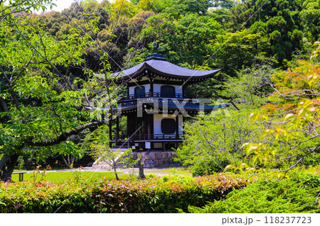【京都風景】6月のさわやかな日の勧修寺 118237723