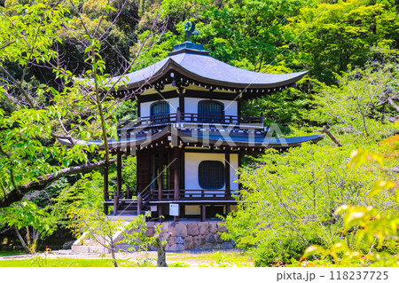 【京都風景】6月のさわやかな日の勧修寺 118237725