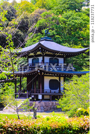 【京都風景】6月のさわやかな日の勧修寺 118237731