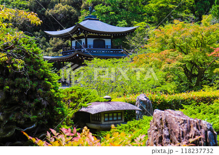 【京都風景】6月のさわやかな日の勧修寺 118237732