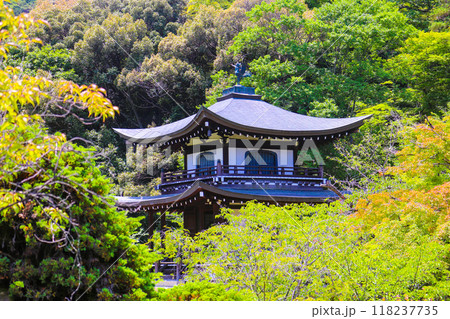 【京都風景】6月のさわやかな日の勧修寺 118237735