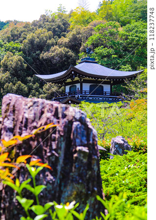 【京都風景】6月のさわやかな日の勧修寺 118237748