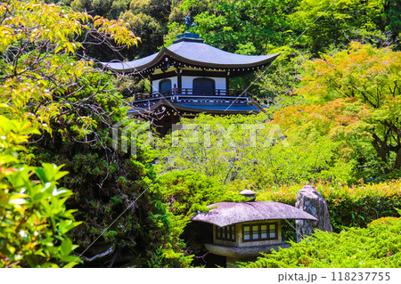 【京都風景】6月のさわやかな日の勧修寺 【京都風景】6月のさわやかな日の勧修寺 118237755