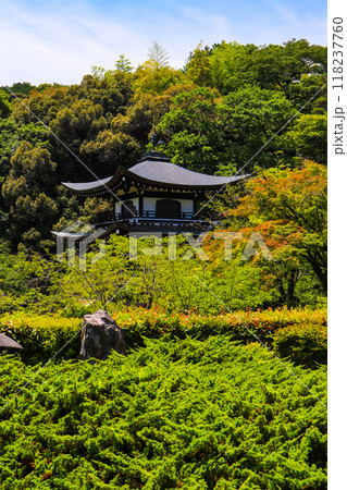 【京都風景】6月のさわやかな日の勧修寺 【京都風景】6月のさわやかな日の勧修寺 118237760