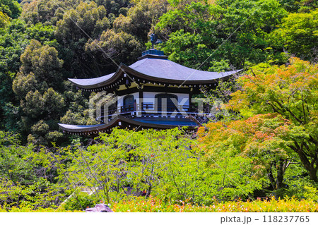 【京都風景】6月のさわやかな日の勧修寺 【京都風景】6月のさわやかな日の勧修寺 118237765