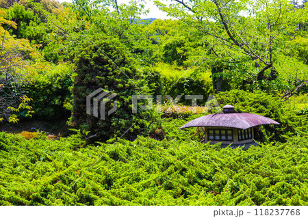 【京都風景】6月のさわやかな日の勧修寺 【京都風景】6月のさわやかな日の勧修寺 118237768
