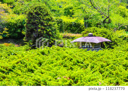 【京都風景】6月のさわやかな日の勧修寺 【京都風景】6月のさわやかな日の勧修寺 118237770