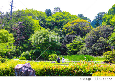 【京都風景】6月のさわやかな日の勧修寺 118237772