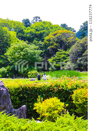 【京都風景】6月のさわやかな日の勧修寺 【京都風景】6月のさわやかな日の勧修寺 118237774