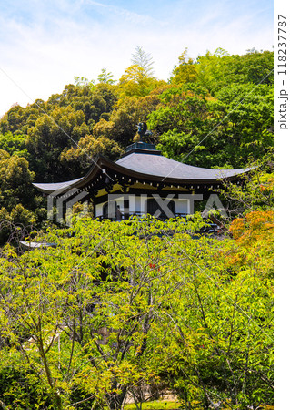 【京都風景】6月のさわやかな日の勧修寺 【京都風景】6月のさわやかな日の勧修寺 118237787