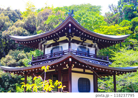 【京都風景】6月のさわやかな日の勧修寺 118237795