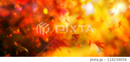 maple branch with red and yellow leaves, autumn natural background with soft focus 118238056