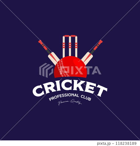 cricket ball element logo template and minimalist level for professional clubs and teams 118238189