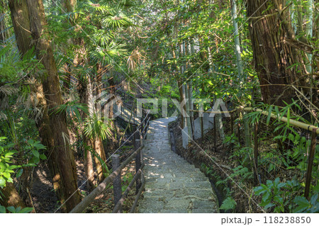 山の辺の道 石段の道 山の辺の道 石段の道 118238850