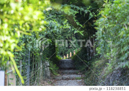 山の辺の道 新緑のトンネル 山の辺の道 新緑のトンネル 118238851