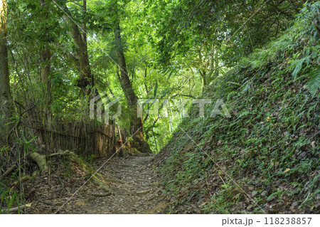 奈良　山の辺の道　のどかな道 118238857