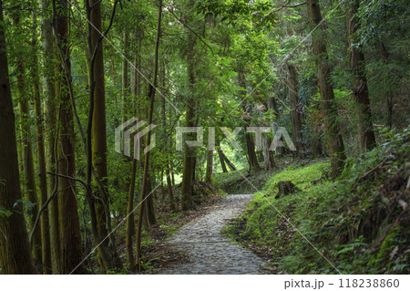 奈良 山の辺の道 奈良 山の辺の道 118238860