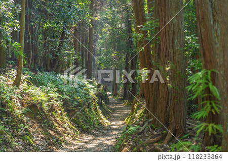 奈良 山の辺の道 奈良 山の辺の道 118238864